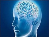 ژنها مسئول پیری مغز/ زوال عقل موروثی است