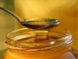 عسل بخورید تا چربی‌هایتان بسوزد 