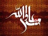 اذعان به برتری امام علی(ع) بر مهاجر و انصار/ چرا امام علی(ع) با خلفا بیعت کرد؟! 