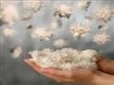 خوشبختی در دستان شماست اگر؛ ساز سازگاری را كوك كنید 