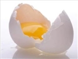 چرا باید تخم‌مرغ بخوریم؟ 