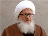 حضرت آیت الله وحید خراسانی:در تعامل با اهل سنت، مبنا و شیوه تعامل اهل بیت (ع)را اصل قرار دهید