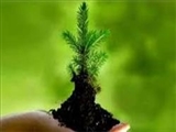 فقه حکومتى و محیط‏ زیست