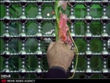 سازمان دین و نحوه برخورد با مشکلات آن/ نقد و بررسی و مهندسی گام به گام