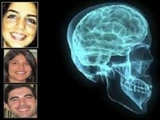 ایده‌های جدید، سلول‌های مغزی را تغییر می‌دهند 