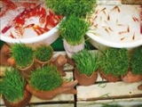 هفت​سین​ها سال اسب را زین می​کنند
