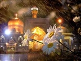 زيارت حضرت رضا عليه السلام از ديدگاه اهل سنت 