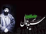 سید جمال الدین اسدآبادی واجد چهره مشخص و معینی نبود/ سید جمال بیشتر سیاسی است تا دانشگاهی 