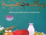 توصیه سلامت محور امام رضا(ع) برای ماه نخست سال/ اجتناب از مصرف غذاهای دیرهضم 