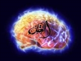 ویژگیهای عاقل و تمامیت عقل از دیدگاه پیامبر اکرم(ص) و امام رضا(ع) 