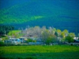 چه رنگی غصه را از بین می‌برد؟ 
