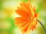 بدترین مردم کیست؟ 