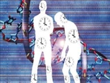 غضروف,آرتروز,ساعت بیولوژیک  رابطه میان ساعت بیولوژیکی غضروف‌ها و آرتروز