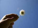 بخشش، انسان را محبوب مخالفان می‌کند