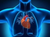 کاهش وزن حتی به طور موقتی به قلب کمک می‌کند 