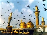ویژگی «واقعه فخ» تنها قیام مورد تأئید امام موسی کاظم(ع)/ آخرین سخنان امام هفتم(ع) در زندان