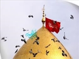 هر عارفی به وجود سیدالشهدا(ع) می بالد