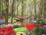خداوند چه کسانی را در دارالقرار جاي می دهد/ صفات ابرار در قرآن