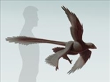کشف دایناسور پرنده با چهار بال 
