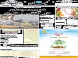 غزه همچنان در آتش و خون 