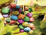 انگور‌های رنگین‌کمانی 