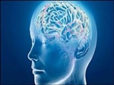 پنجره مغز کشف شد/ تشخیص زوال عقل از روی چشم‌ها