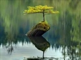 تا نگویند دعوت به خیر از میان مردم رفت...