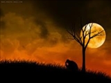 چرا نباید اندوه خود را نشان داد؟ 