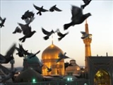 امام رضا (ع) با جریان انحرافی زمان خود چه کردند؟