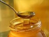 عسل برای مقابله با باکتری‌های مقاوم به آنتی‌بیوتیک 