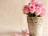 قلب منیب چه قلبی است؟ 