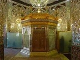  چهره تشیع را می توان در زندگی نامه امامزادگان مطالعه کرد