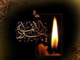 راز شهادت امام جواد(ع) به دست بنی‌العباس