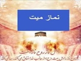 چرا بر جنازه میت، نماز می‌خوانند+پاسخ امام رضا(ع) 