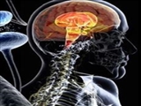 تشخیص استعداد ابتلا به پارکینسون ظرف ۲ دقیقه 