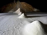 شکر و کربوهیدرات از چربی هم خطرناک‌تر است! 