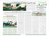 تولد 34 نوزاد ایرانی در جمع زائران اربعین، در کربلا