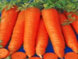  برای رفع حس گرسنگی هویج بخورید