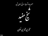 شیخ مفید، نابغه فقه و حدیث 