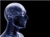سلول‌های جدید مغزی شناسایی شدند 