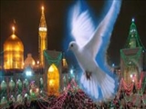 اطاعت فرشتگان و اجنه از امام رضا(ع)/ حکم دوقلوی به‌هم چسبیده