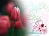 چرا روز ولادت حضرت زینب(س) روز پرستار نامگذاری شده است؟ 