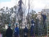  سفر به ژاپن؛ قدم زدن پرشتاب، خواب در مترو، سیگار ممنوع - ۴ 