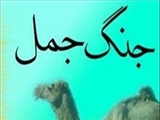 رفتار حضرت علی‌(ع) با فرمانده جنگ جمل