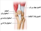 رابطه افزایش سن و خطر آسیب تاندونها