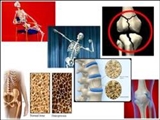 تهیه پودرهای ضدپوکی استخوان توسط محققان ایرانی
