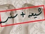  هدف، گسترش معارف اهل بیت(ع) است نه تغییر مذهب دیگران
