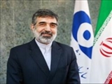 آمانو بالاخره حرف ما را بیان کرد؛ امیدواریم مذاکرات تا ۳۰ ژوئن تمام شود 