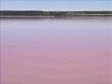 دریاچه‌ای در چین صورتی شد 