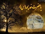 چرا پیامبر(ص)با خدیجه(س) ازدواج کرد؟ 